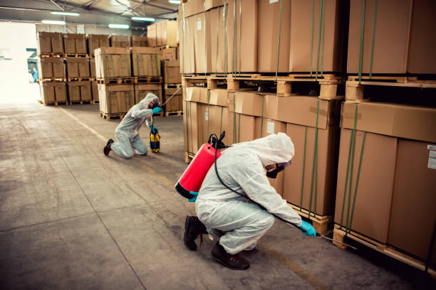 Pest Prevention Services in Alexandria, KY