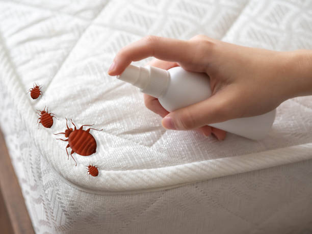 Professional Pest Control in Alexandria, KY